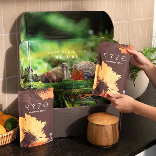 Mushroom Coffee (90 Servings)