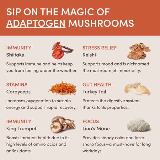 Ultimate Elevate + Unwind Bundle 3